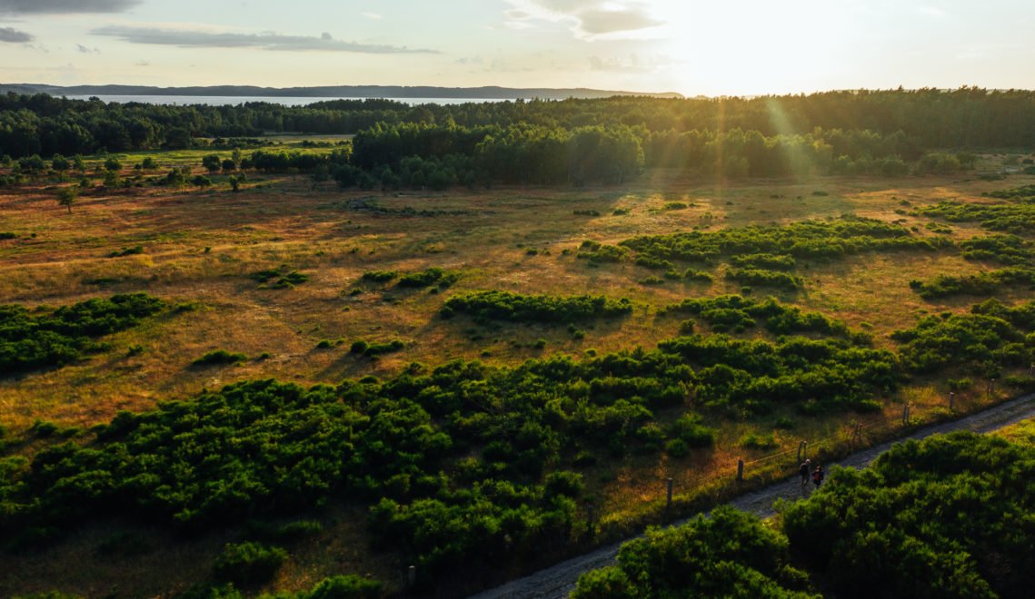 Nature has reclaimed the former military training area of Prora © TMV/Gänsicke
