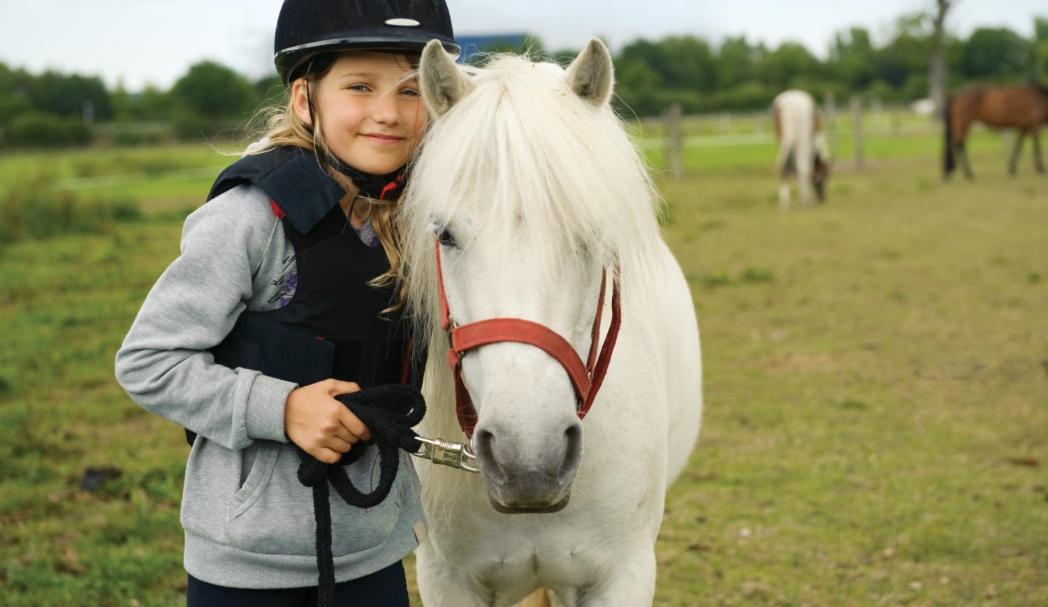 Many horse farms in Lower Saxony offer lessons for kids © Shestakoff