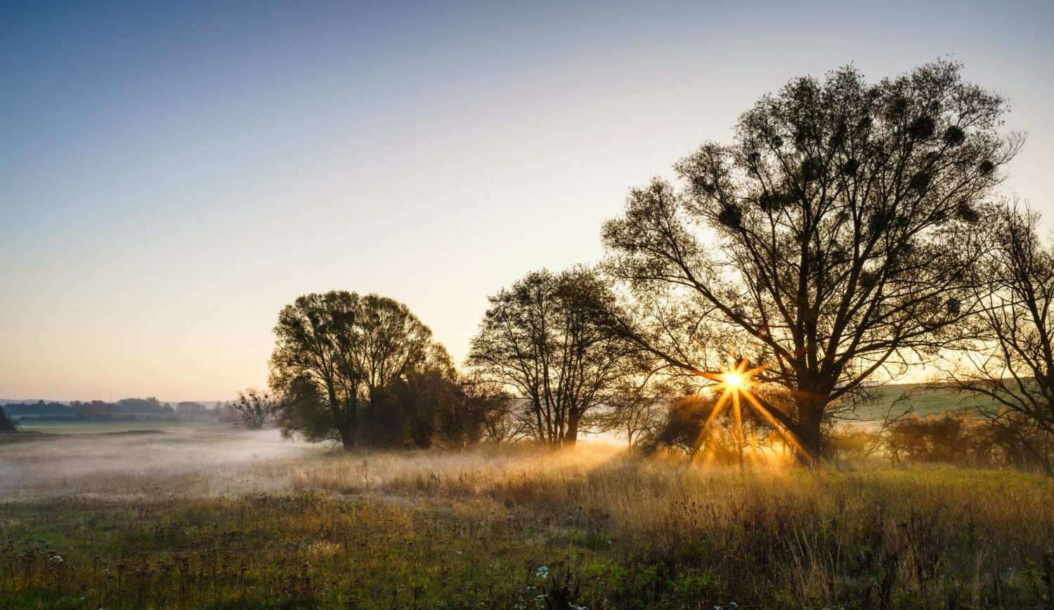 Das wird ein schöner Tag heute – Morgendämmerung im Barnimer Land © TMB-Fotoarchiv / Yorck Maecke