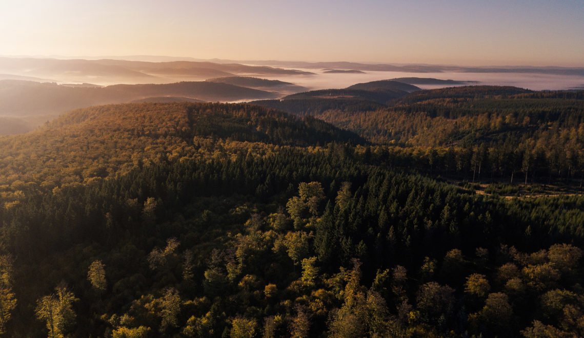 Forest paradise from above. The Rothaarsteig leads right through the middle © Tourismus NRW e.V.