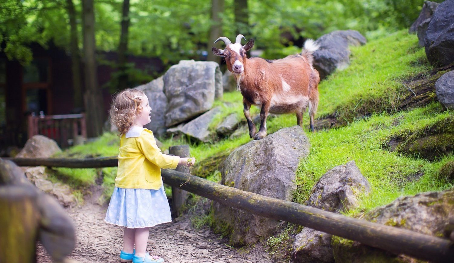 He du da! – im Tierpark und Zoo machen Kinder neue Bekanntschaften © famveldman - Fotolia