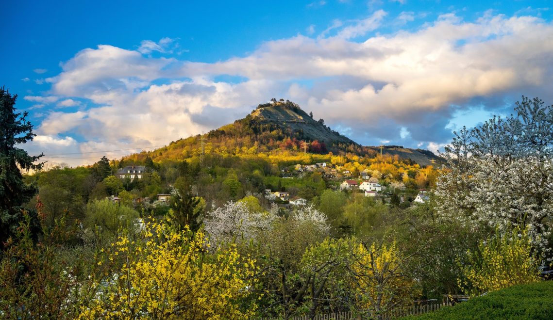 Jena's local mountain: the 385-meter-high Jenzig with its characteristic nose shape © JenaKultur, Photo: Christian Häcker