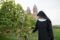 Noch heute kümmern sich die Ordensschwestern selbst um ihre Reben © HA Hessen Tourismus