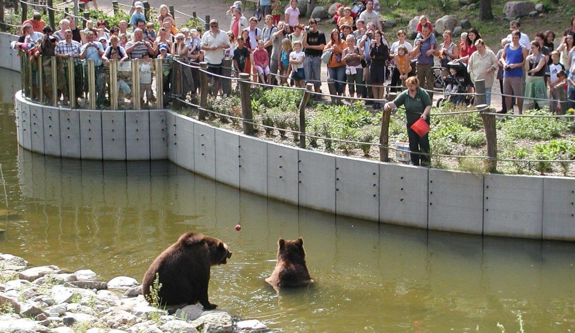 Bears Freddy and Frode © Wildpark-MV
