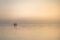 Ostsee-Romantik: Ein Fischerboot fährt am frühen Morgen raus in die Lübecker Bucht © TSNT