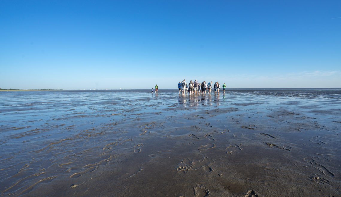 The guided mudflat hike lasts about two hours © Tobias Hoiten