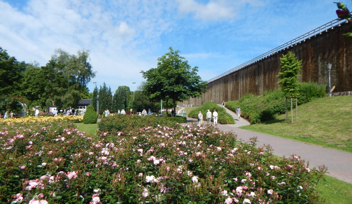 Brine air meets rose fragrance. In the Rosarium in the spa gardens in Bad Rothenfelde, 200 rose species thrive © Hans-Peter Fröbel