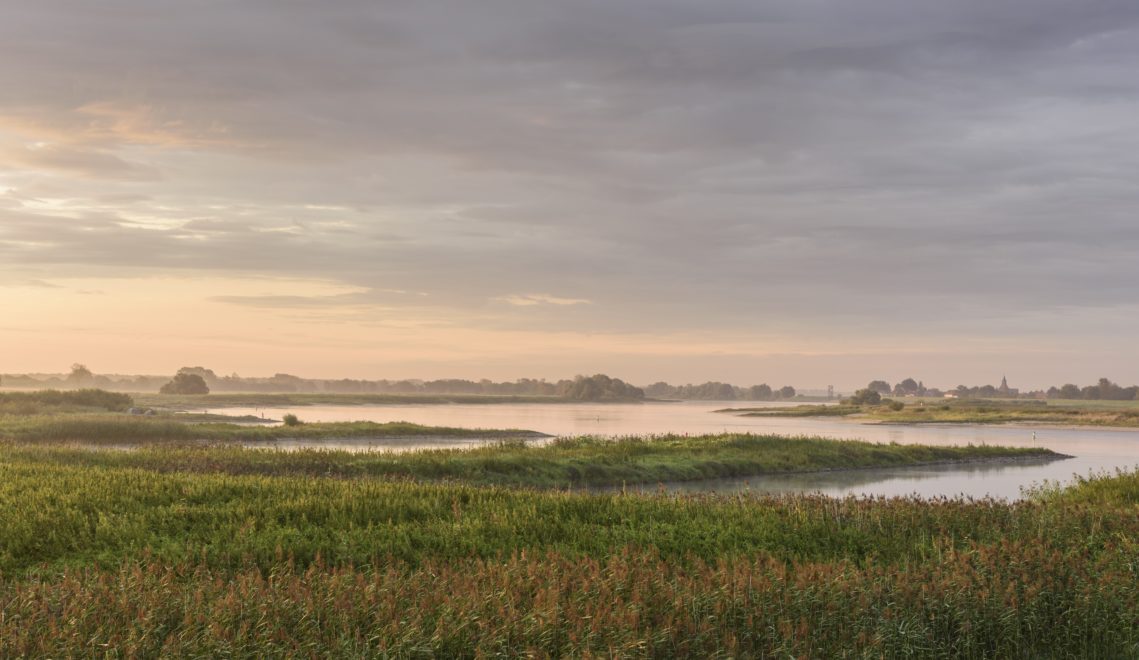 Extensive natural riparian zones characterize the river landscape of the Elbe © Dieter Damschen