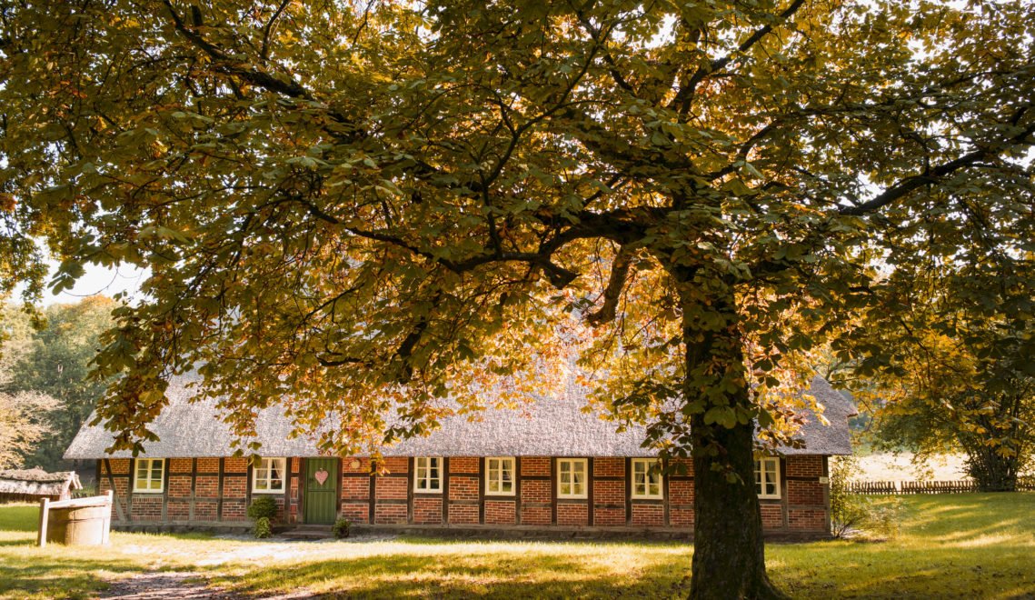 Fachwerkhaus in Wilsede in der Lüneburger Heide