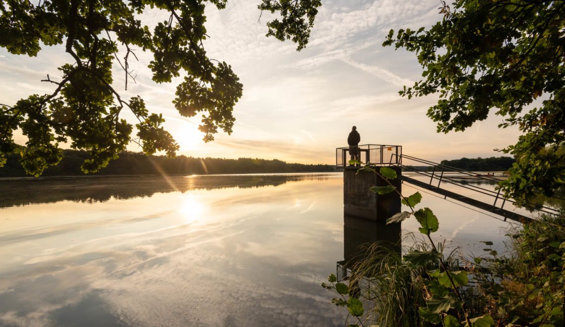 Lonely shores, great views, wonderful forest passages - the Westerwald Lake District has a lot to offer ©Rheinland-Pfalz Tourismus GmbH/Dominik Ketz
