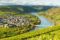 Wie Trittenheim liegen auch viele andere Weinorte hübsch eingebettet zwischen Weinhängen und den Moselschleifen ©Rheinland-Pfalz Tourismus GmbH / Ketz