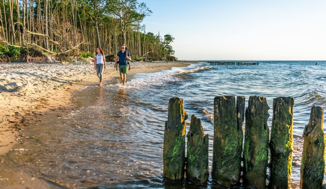 Maik Gutmann enjoys hiking along the sandy beaches of the Baltic Sea coast and the miles of coastal forests © TMV/Tiemann