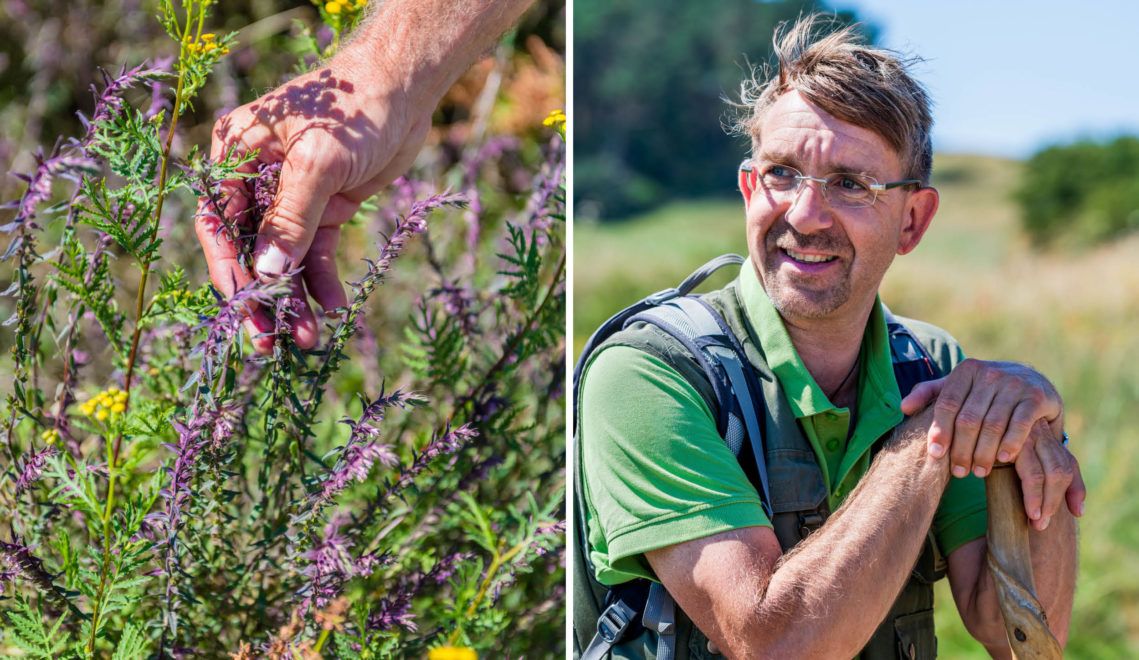 René Geyer loves being out in nature. He knows just about every plant On Rügen