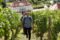 Vineyard walk at Wackerbarth Castle - Europe's first adventure winery