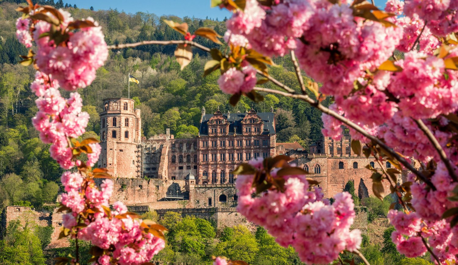 Transfigured view of Germany's most romantic ruin - Heidelberg Castle