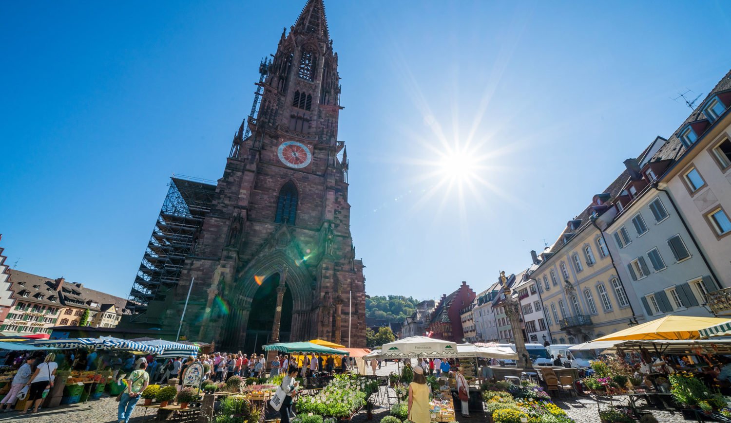 Fruit and vegetables in the shadow of the church - on the road at the Freiburg Cathedral Market