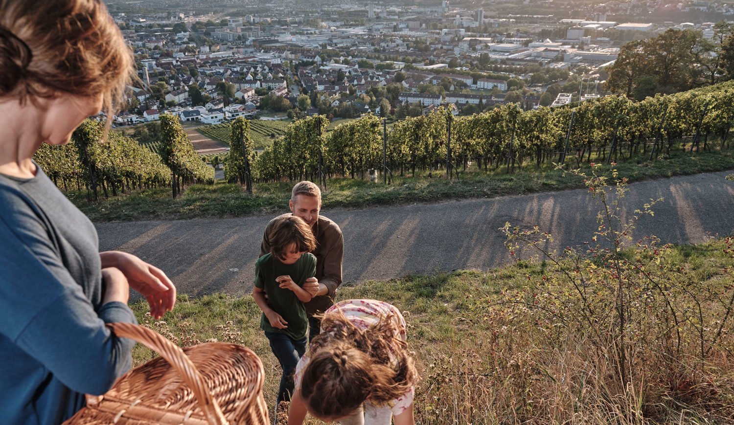 The wine panorama path leads above the city through the vineyards