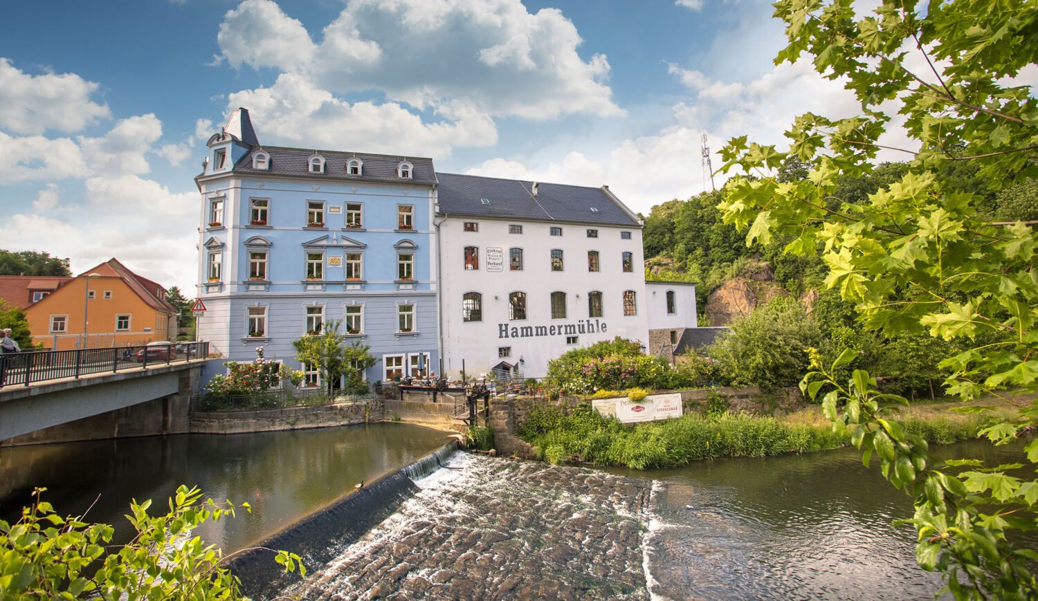 First-class oils and mustards are produced in Hammermühle Bautzen