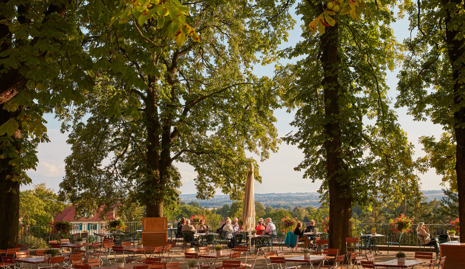 Don't miss - a relaxing evening on the Hoflößnitz wine terrace