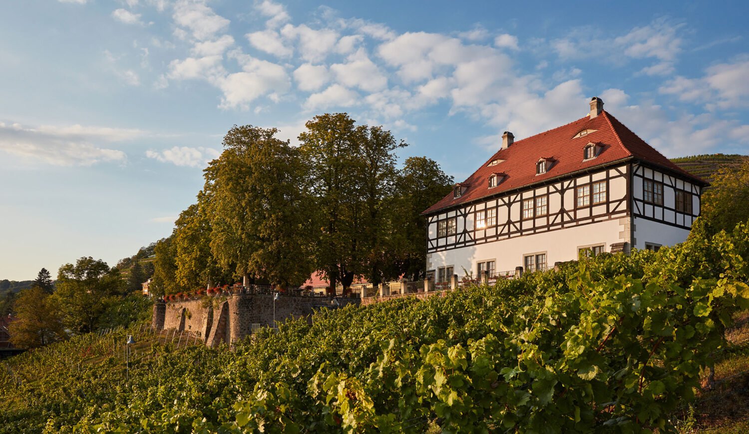 The Hoflößnitz winery has dedicated itself entirely to organic cultivation