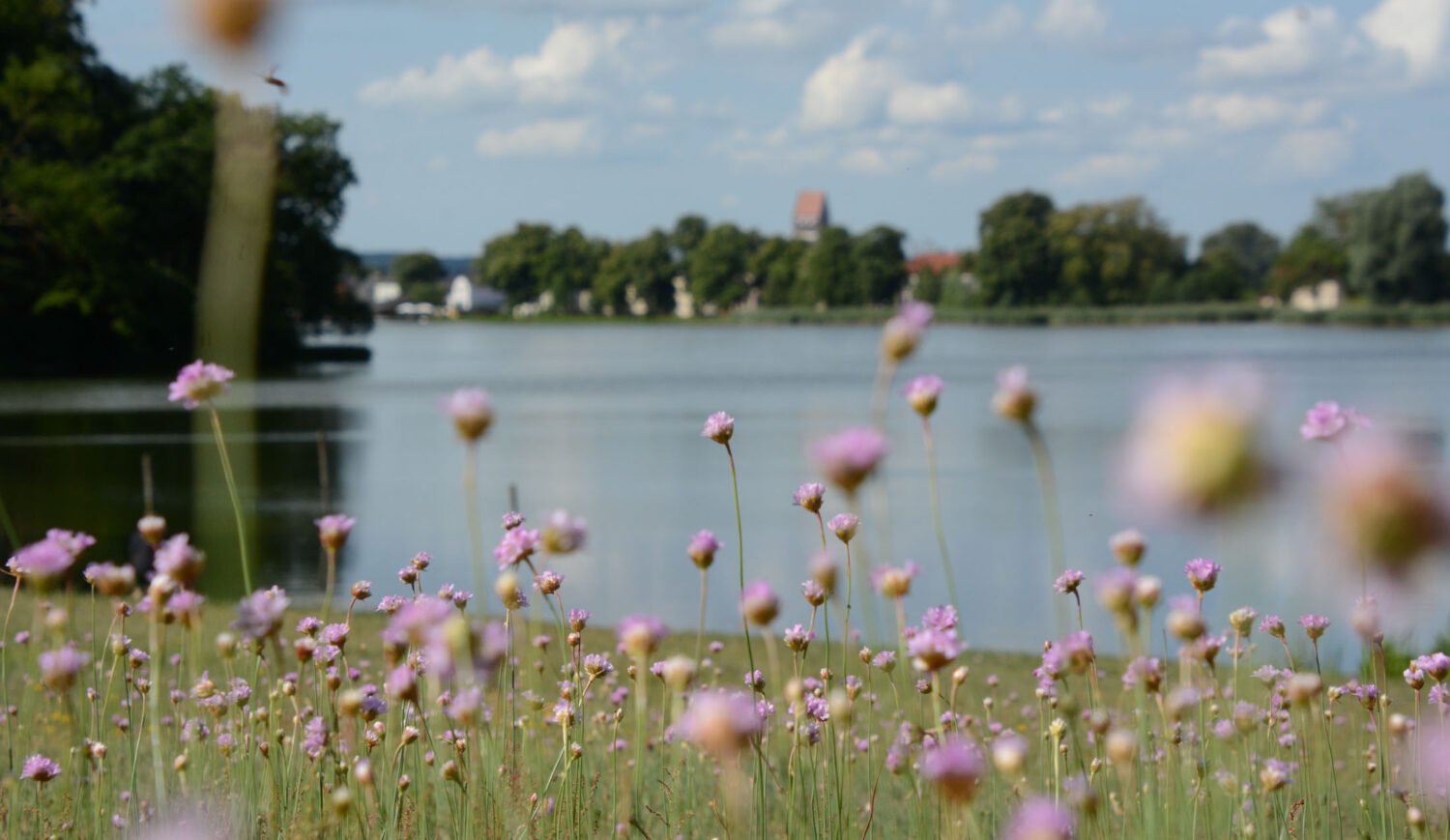 Lake Wockersee: A gem with impressive flora and fauna © Christina Korr