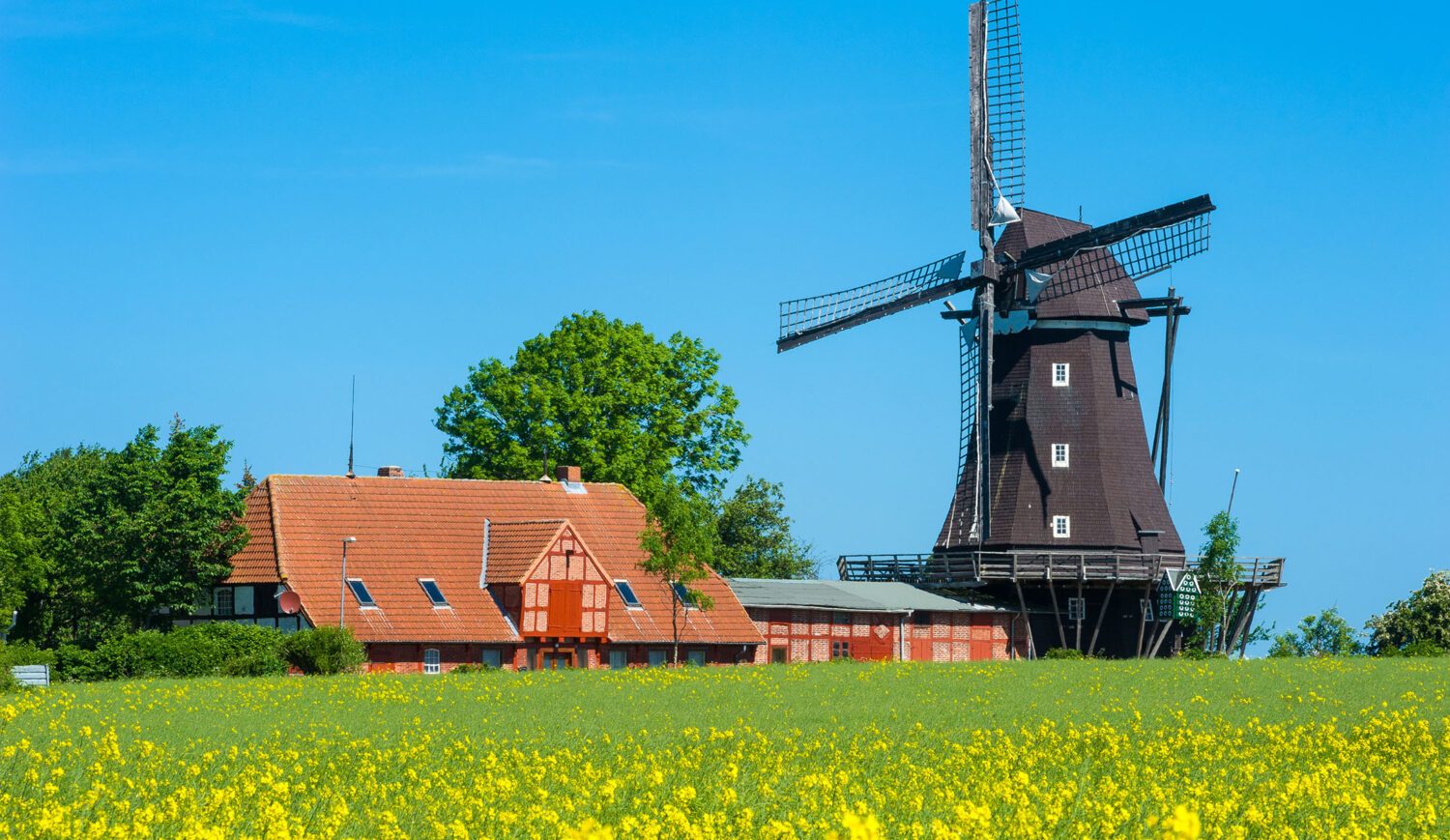 The mill of the Mill and Agricultural Museum in Lemkenhafen was still active until the 1950s