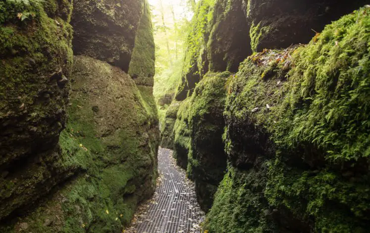 The hike through the Dragon Gorge leads through wild and romantic nature around Eisenach © Eisenach-Wartburgregion Touristik, A.-L. Thamm