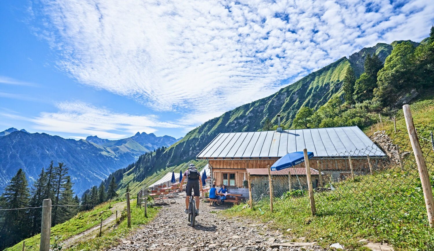 Die Berge rund um Oberstdorf könnt ihr wunderbar mit dem Mountainbike erkunden, zum Beispiel auf der Route zur Sölleralpe © erlebe.bayern - Gert Krautbauer