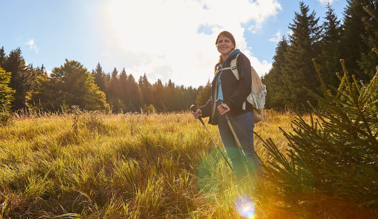 Gut 10.000 Kilometer ausgeschilderte Wanderwege führen durch den Harz