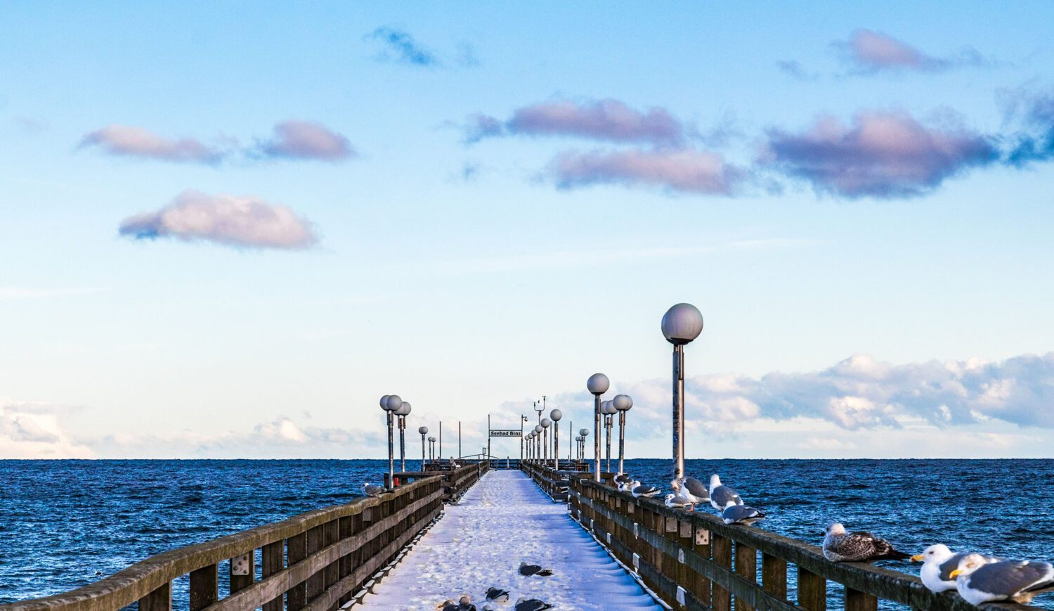 The seagulls are already waiting - the pier of Binz in winter