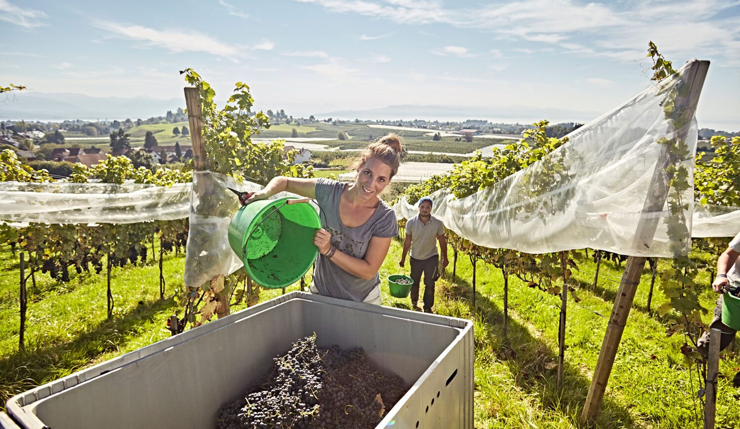 Winemaker Teresa Deufel produces organic wines on the family farm