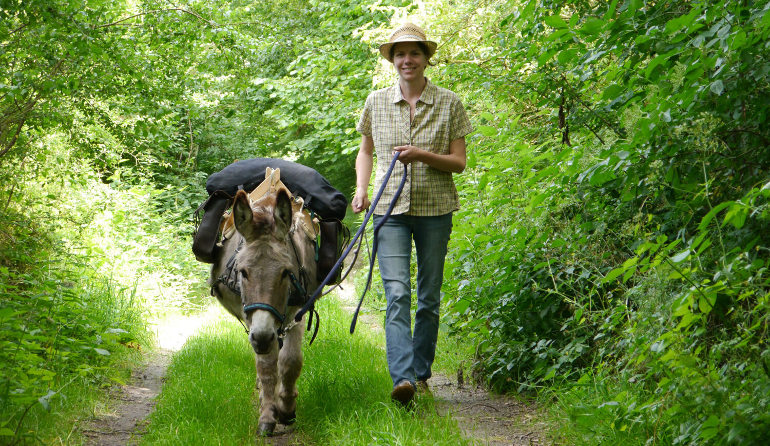 Those who prefer to travel with donkeys will find what they are looking for at the donkey trail in Groß Bengerstorf