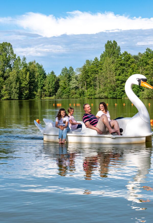 In the swan boat we go across the small lake.