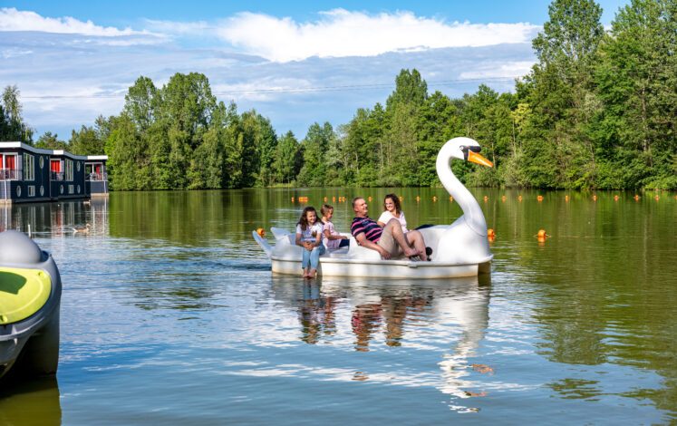 In the swan boat we go across the small lake.