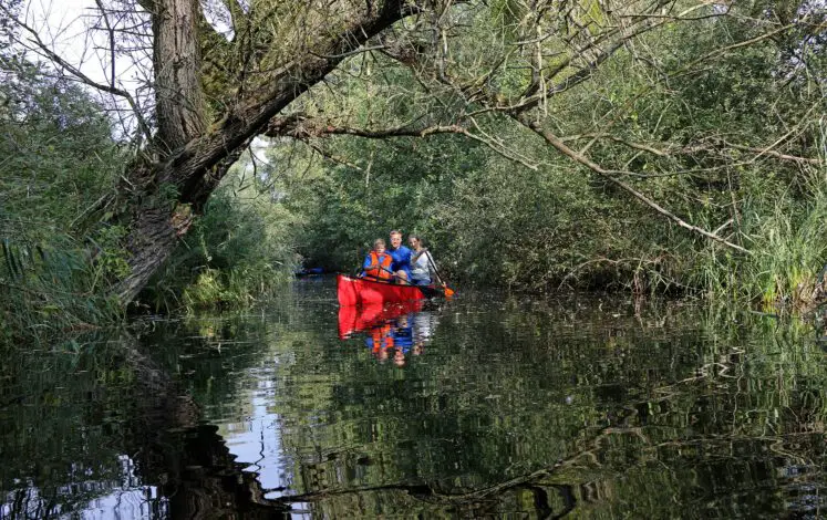 Kanutour auf der Schwaanhavel