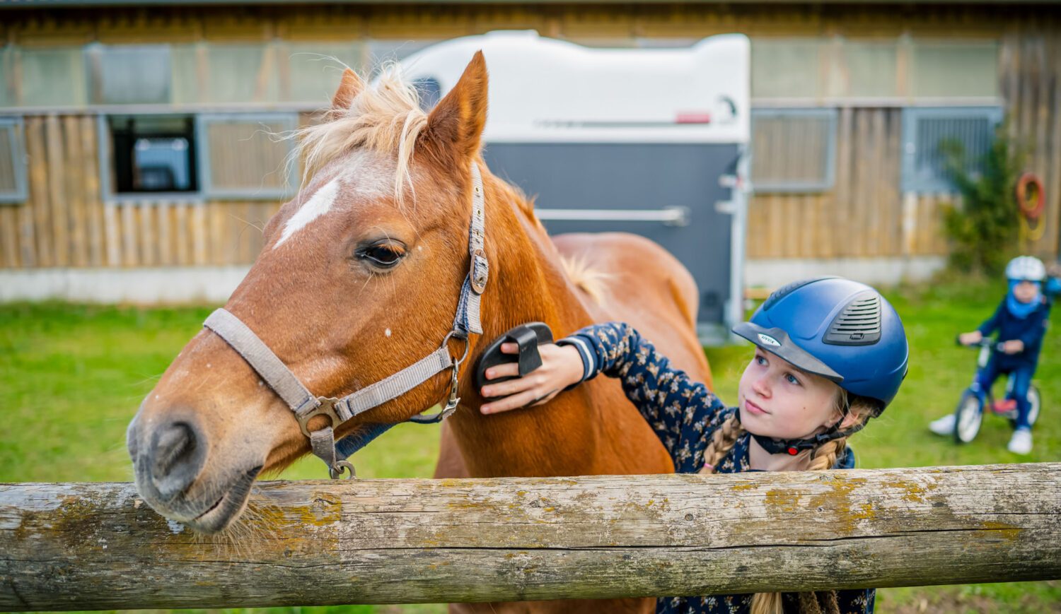 At the equestrian farm, children also learn how to properly care for the horses during their vacations © TMV/Tiemann