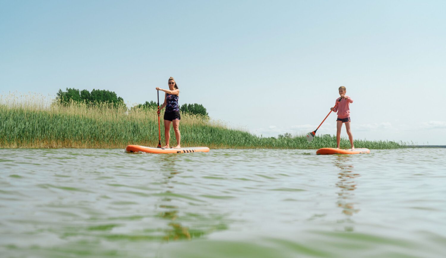 The calm waters of the Boddensee are ideal for stand-up paddling © TMV/Petermann